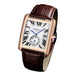 Luxury Automatic Watch Men Mechanical Wristwatches Top Brand Dress Watches Square Stainless Steel Waterproof Clock CARLTINY 2023 - IFINDALL