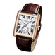 Luxury Automatic Watch Men Mechanical Wristwatches Top Brand Dress Watches Square Stainless Steel Waterproof Clock CARLTINY 2023 - IFINDALL